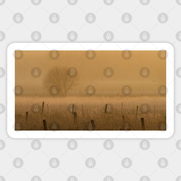 Fence posts in fog Sticker by Jim Cumming